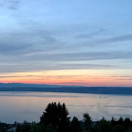 Les Vies En Rose Apartamento Évian-les-Bains Exterior foto